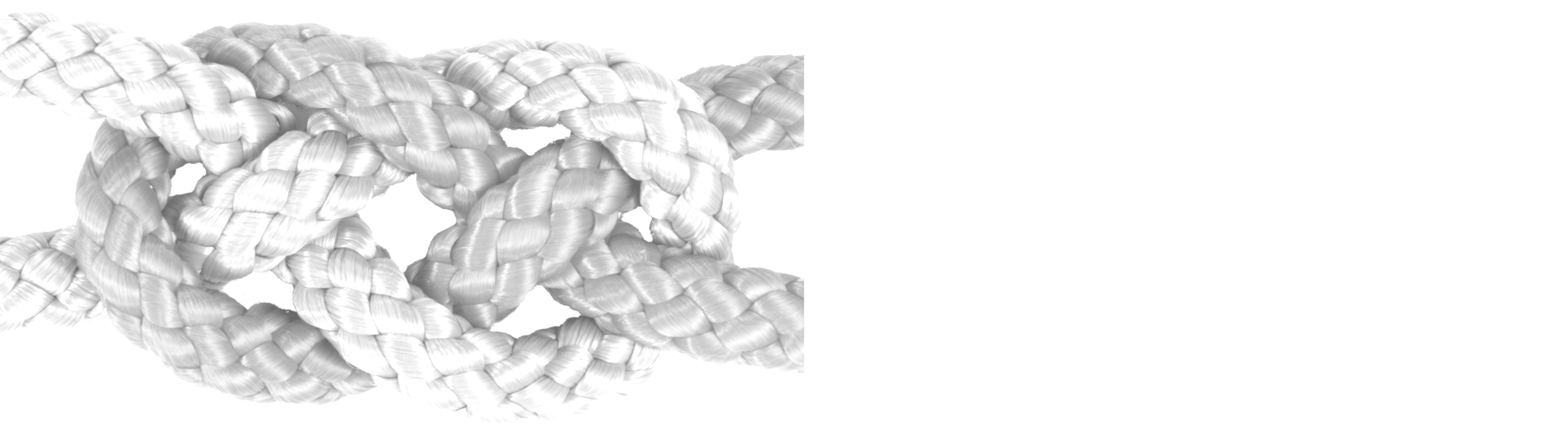 WSV Fahr logo